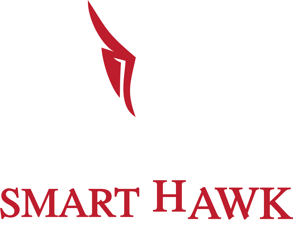 Smart Hawk International
